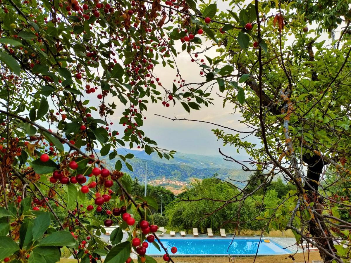 Agriturismo Borgo Biaia Camporgiano Extérieur photo